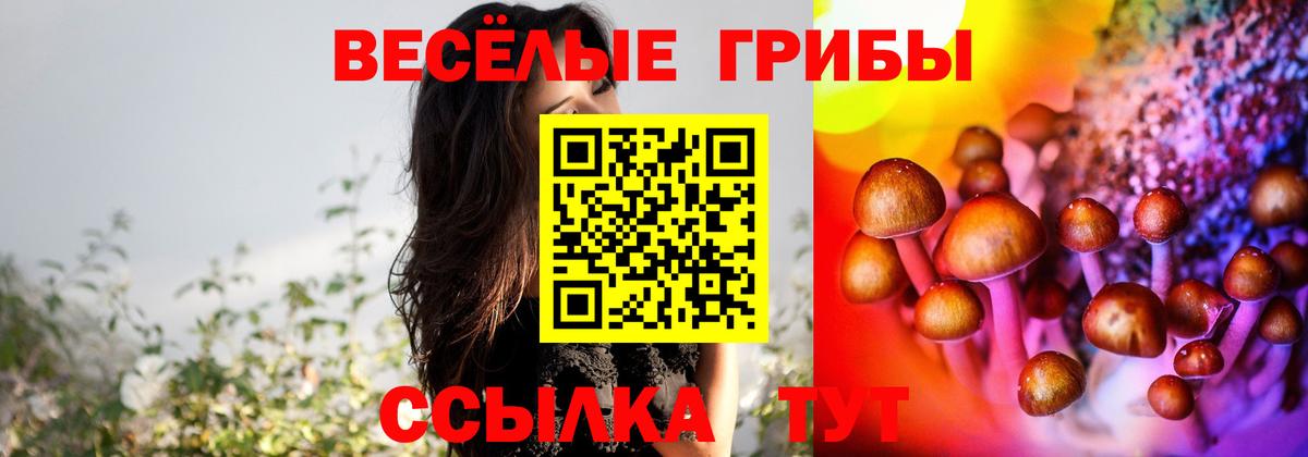 Галлюциногенные грибы Magic Shrooms  Вход с VPN  Новошахтинск  Псилоцибиновые грибы ЛСД 